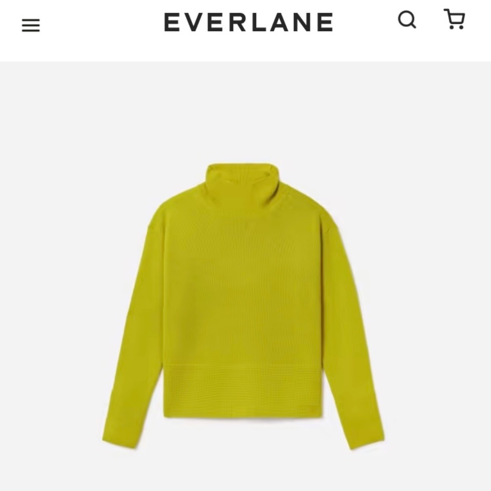 Everlane The Cashmere Square Turtleneck - Picture 2 of 7